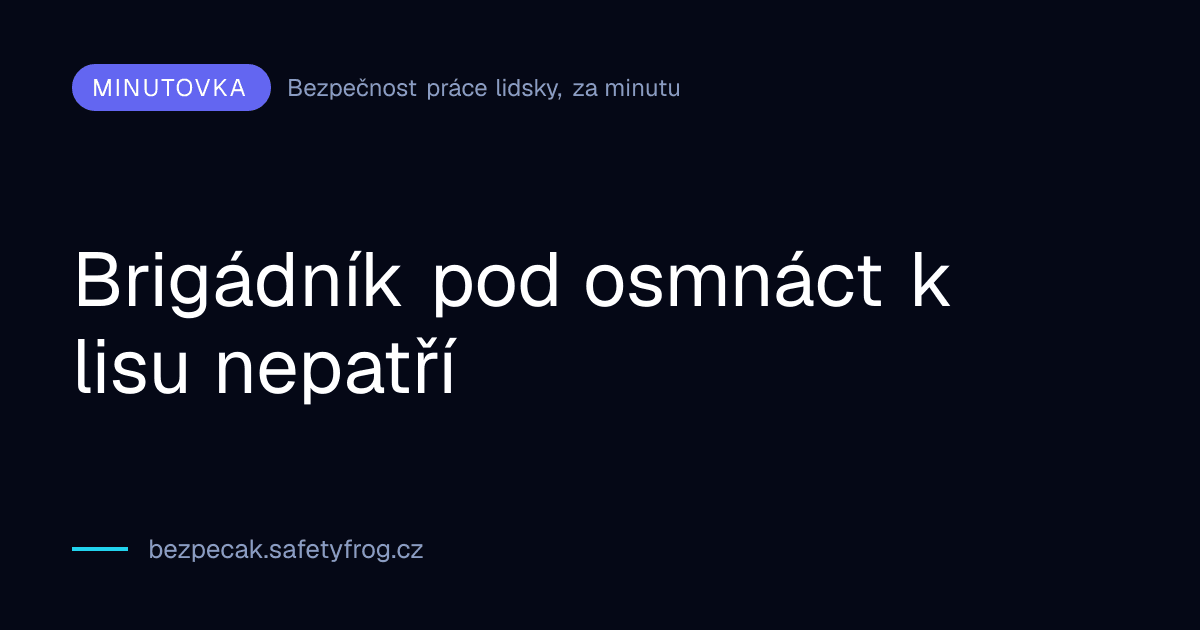 Brigádník pod osmnáct k lisu nepatří