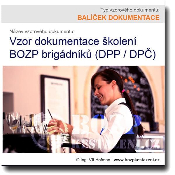 Vzor dokumentace školení brigádníků (DPP / DPČ)